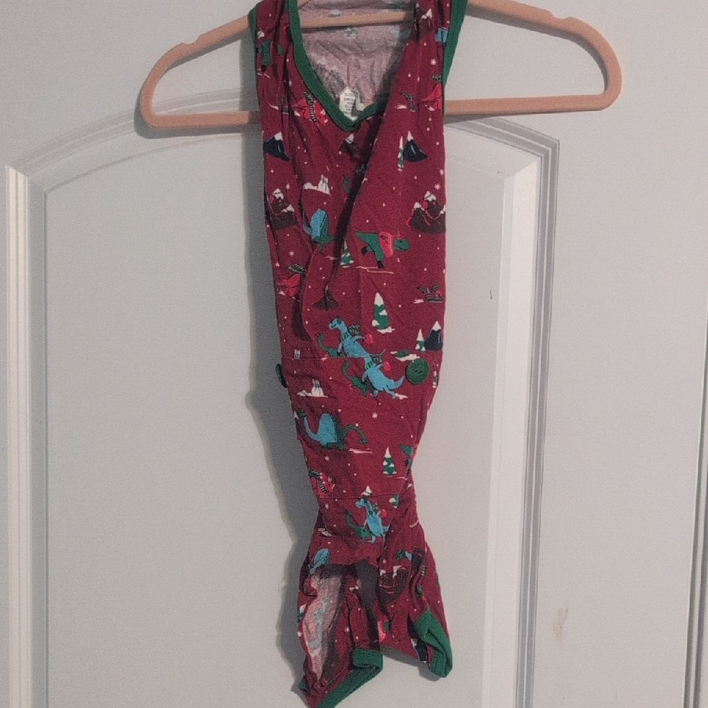 Festive Red Dog Pajamas with Green Trim